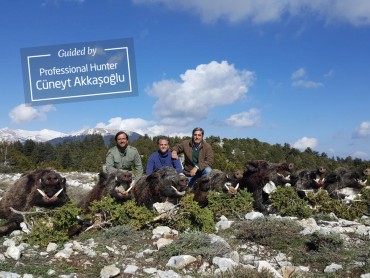 Turkey